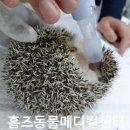 홈즈동물병원 네이버블로그