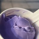 금암목장 | 폴바셋 라벤더 아이스크림 강남역 내돈내산