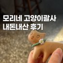 나무고양이뷰티 | 블랙핑크 리사 추천 모리네 고양이괄사, 붓기관리템, 고양이나무괄사 추천, 내돈내산 후기