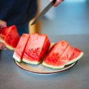 호헤 경주 이미지