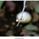 경희호랑한의원 이미지