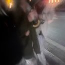 미루니의 오월