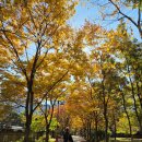 미추홀공원(다례원 내) | [ 인천 ] 미추홀 공원 🎀