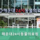 24시큰사랑동물병원 이미지
