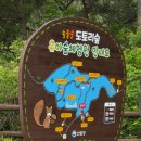 솔솔솔도토리숲 네이버블로그