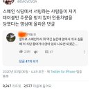 스페인 식당에서 서빙하는 사람들이 자기 테이블만 주문을 받지 않아 인종차별을 당했다는 영상에 올라온 댓글 이미지