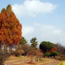 강원도립화목원 이미지