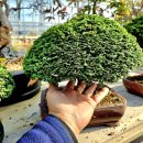 장백농장 이미지