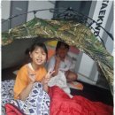 파워태권도장 이미지