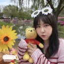 수원-0423 이미지