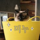 미누헤어 네이버블로그