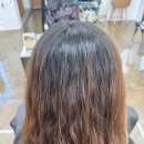 성보약국 | 대구 달서구 두류동 미용실 302에비뉴 염색 컷트포함인곳