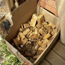 강화대로 | [숙소후기] 강화 물푸레시골집 내돈내산 촌캉스 떠나기