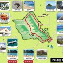 영걸농장 | [하와이 여행3] 하와이 오아후섬 일주 투어 (사우스쇼어-노스쇼어-돌플렌테이션-진주만)