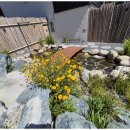 소동연가 이미지