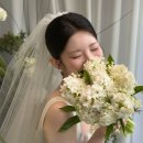 러브카세 | 시와의 시선, 인생 가장 완벽했던 흐린 날" ㅣ시와스냅 SIWASNAPㅣ대구 아이폰스냅 본식후기ㅣ엘파소야외홀