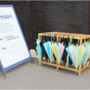 (주)하늘마음바이오 홍천지점 알파카스테이 | 8월에 여름강원도여행으로 갈만한곳 알파카월드