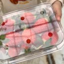 공인농장 | 진주 딸기 체험이 가능한 버드골체험농장 방문 후기