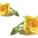 부족함과 행복함 이미지