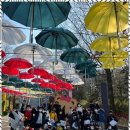 힘찬아이태권도장 이미지