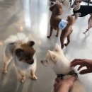 윤철농장 이미지