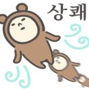 섹션플라워