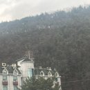 크라시모텔 | [내돈내산리뷰] 가평 논밭뷰 대형카페 시고르(sigor) 후기(feat.넓은 주차장)