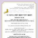 캣케밍 이미지