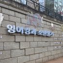 재영빌딩 | 청계천 빛초롱 축제,, 포켓몬고 잉어킹 학살 일상 큐호호