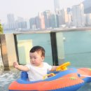 호텔 하버 이미지