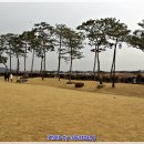 서일여행 이미지
