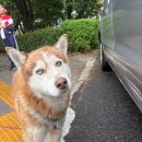 순천북초등학교 이미지