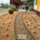 원주초등학교 병설유치원 이미지