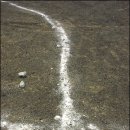 함덕초등학교선흘분교 이미지