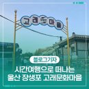 울산광역시남구도시관리공단(장생포고래생태체험관) | 시간여행으로 떠나는 울산 남구 장생포 고래문화마을