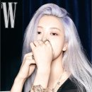 로제 이미지