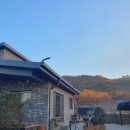 교동펜션 이미지