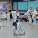 해광경희대태권도