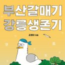 부산갈매기 이미지