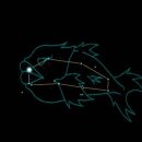 물고기자리 이미지