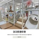 아지트원두왓 | 제주 아라동 신상 키즈카페 아지트원두왓