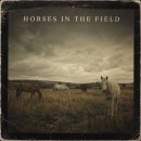 Horses in the Field 이미지