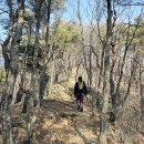 동대산정상 공중화장실 | 영덕 팔각산-옥계계곡-산성계곡 여행기록