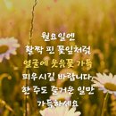푸른이미지주
