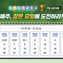 매일골프존 이미지