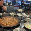 촌캉스, 금전고택, 대구벚꽃, 달쩌미일상, 범어동 상락, 수성못 백프로자연산횟집, 신천시장 심야오뎅