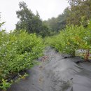 천선농장 이미지