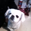 가좌종합동물병원 이미지