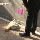 승환농장 이미지