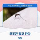 모기 무조건 잡고 잔다 vs 무시하고 잔다 이미지